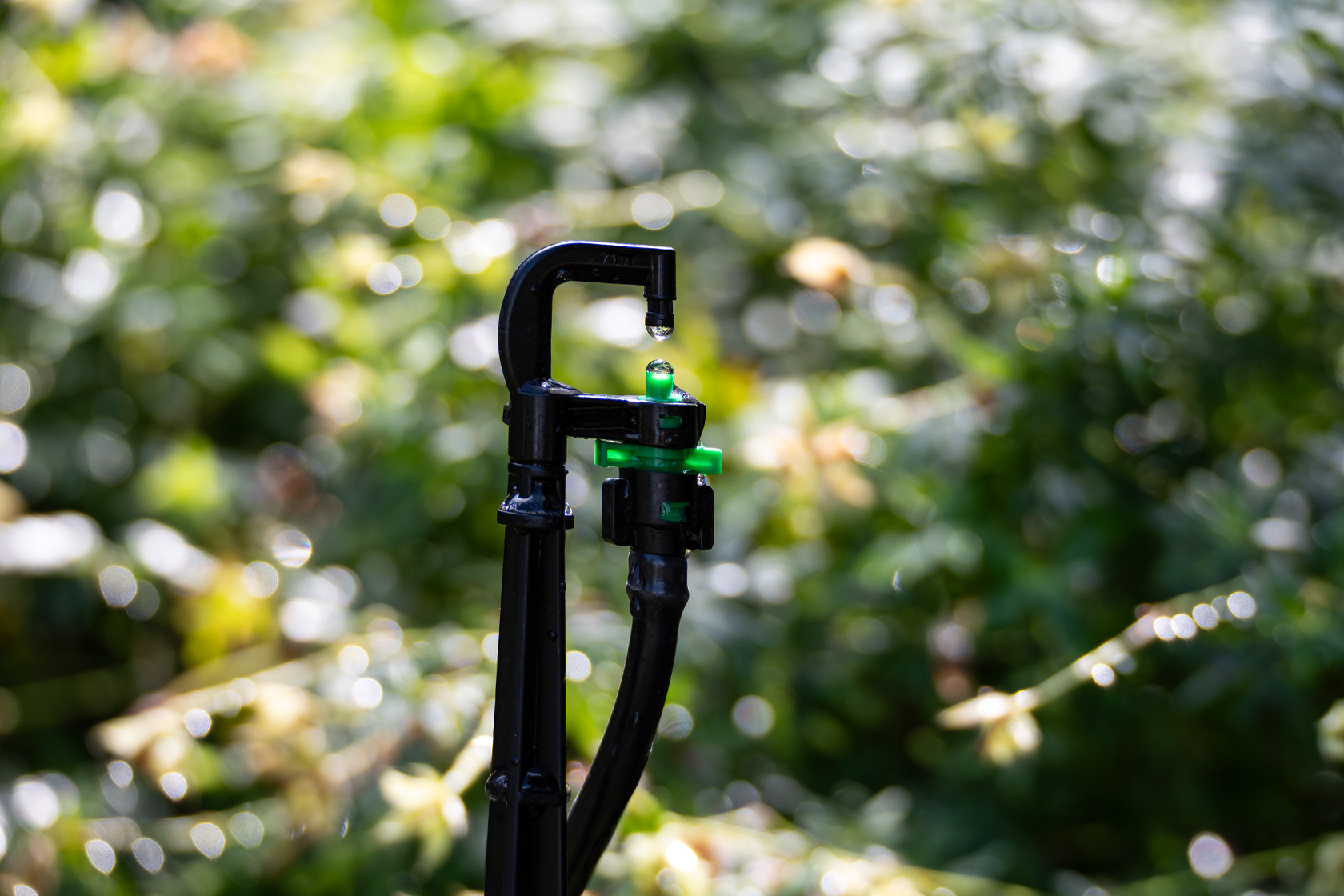 Realisierung einer Bewässerungsanlage