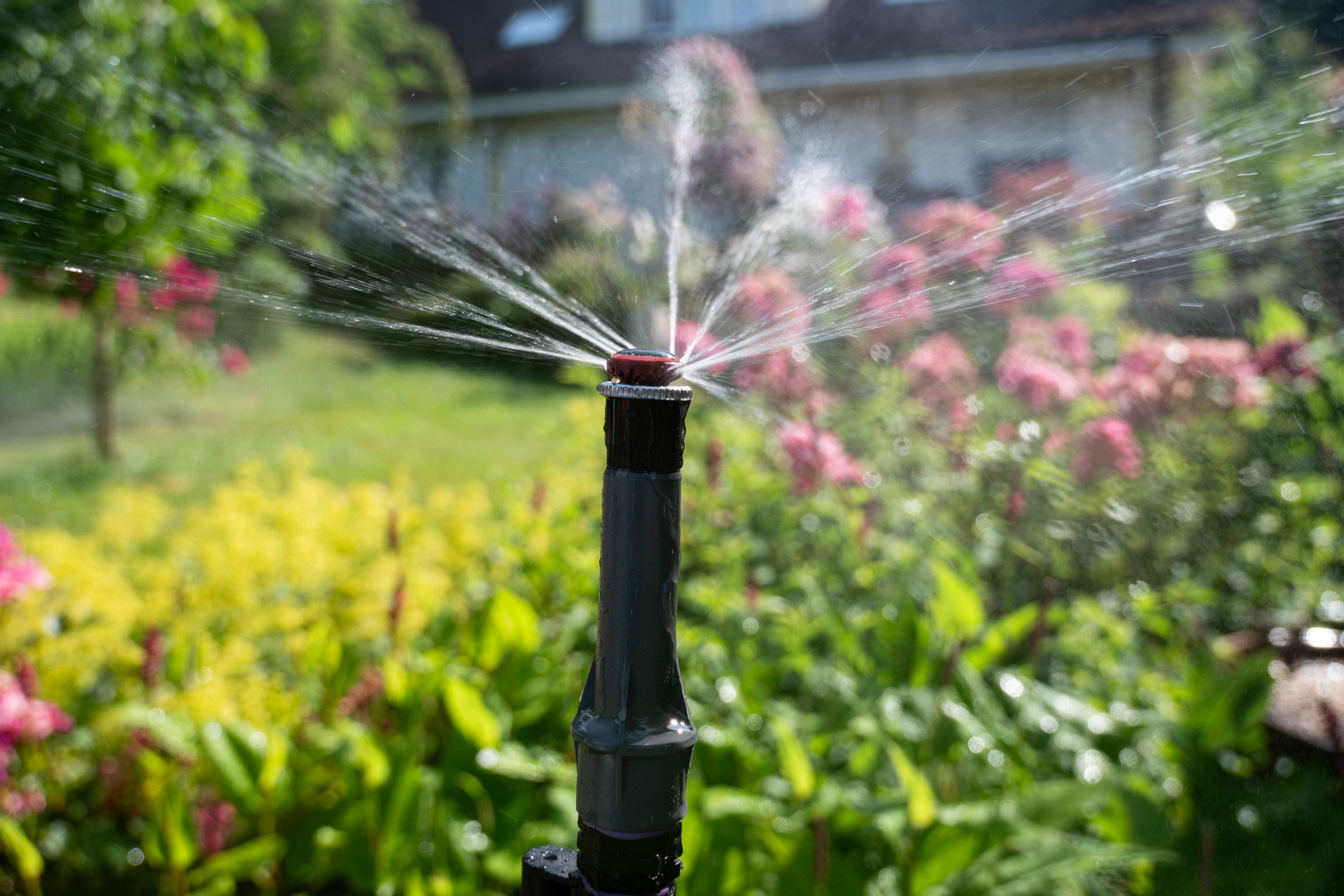 Realisierung einer Bewässerungsanlage