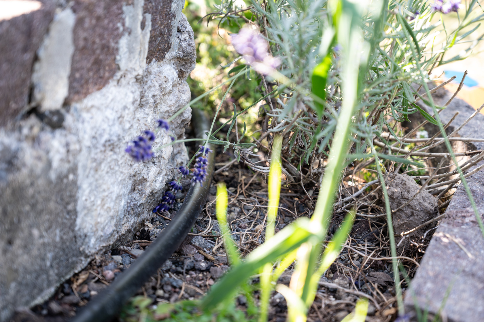 Realisierung einer Bewässerungsanlage