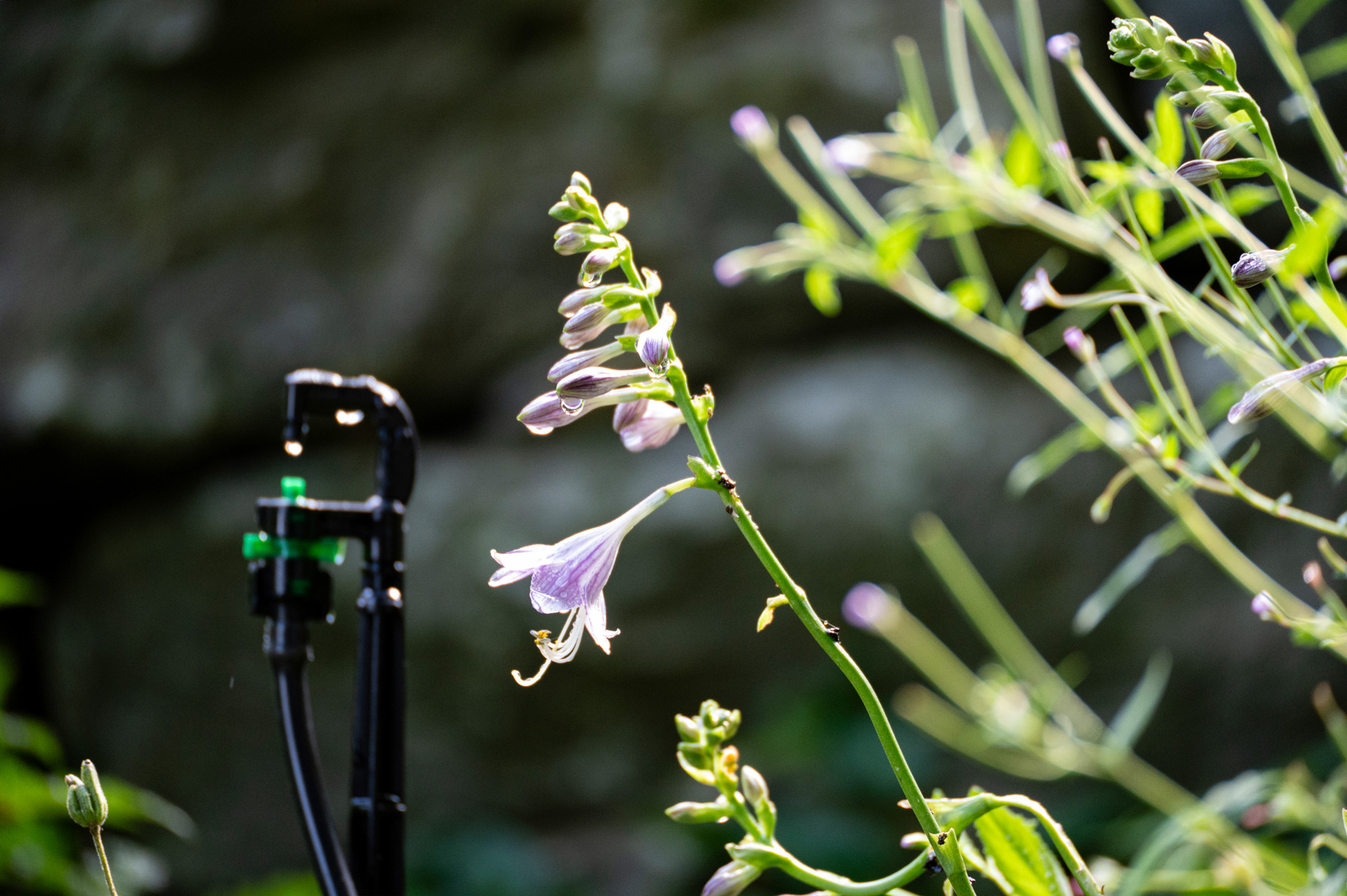 Copyright Regenwassermanagement.ch (c) Regenwassermanagement.ch